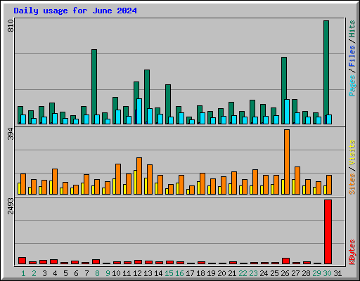 Daily usage for June 2024